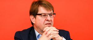 Ralf Stegner, stellvertretender SPD-Vorsitzender.