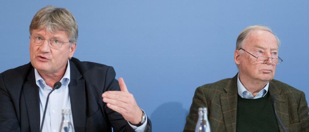 Versuchen die AfD vor dem Verfassungsschutz zu schützen: die Parteichefs Jörg Meuthen (links) und Alexander Gauland.