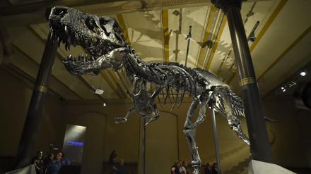 Das Berliner Naturkundemuseum mit seiner Attraktion, dem Saurier Tristan.