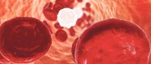 Wie ein offenes Buch. Künstlerische Illustration des Gefäßinneren mit roten Blutkörperchen.