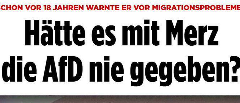Bei bild.de gibt es die Rede von Friedrich Merz vom Oktober 2000, als er vor kriminellen Ausländern warnte.