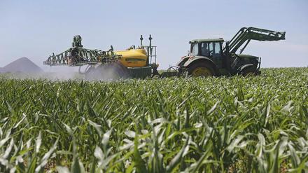 Das umstrittene Pestizid ist noch mindestens bis 2022 zugelassen