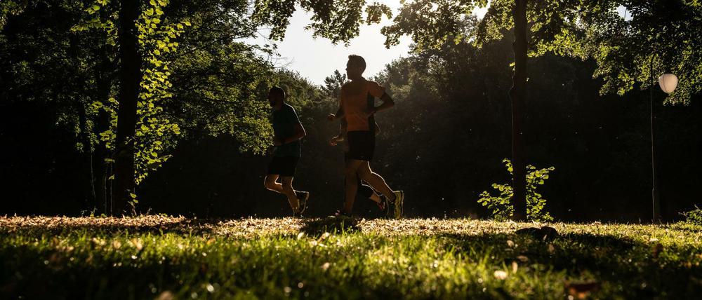 Zwei Jogger im Tiergarten: Unserem Autor hilft das Laufen über Trauer hinweg.