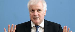 Das Bundesverfassungsgericht sah kein Rechtsschutzbedürfnis der AfD gegen Seehofer.