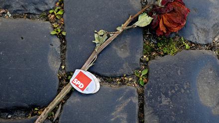 Wer bringt die Rose wieder zum Blühen? Die SPD ringt mit sich um neue Antworten.