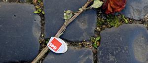 Wer bringt die Rose wieder zum Blühen? Die SPD ringt mit sich um neue Antworten.
