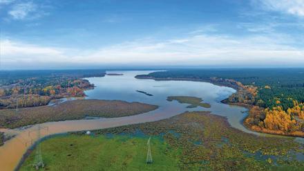 Der Wasserstand im Spremberger Stausee ist um mehrere Meter gesunken.