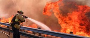 Ein Feuerwehrmann bekämpft ein Feuer. Die Brände in Kalifornien haben bereits Hunderte Quadratkilometer Wald verkohlt.