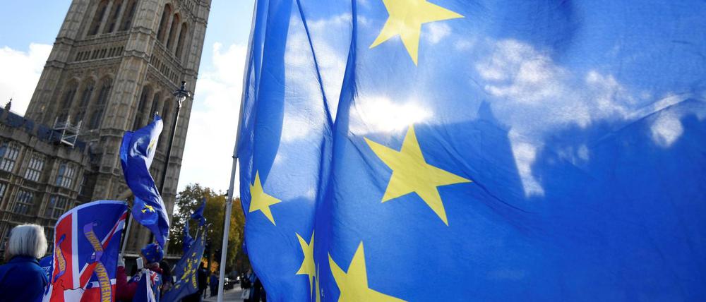 Brexit-Gegner mit Flaggen der EU in London