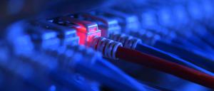 Ein Netzwerkkabelstecker leuchtet in einer Netzwerkzentrale rot. 