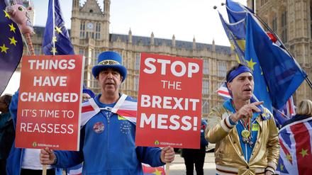 Anti-Brexit-Demonstranten protestieren in London. Am Mittwoch entscheidet die britische Regierung über den Entwurf des Brexit-Abkommens. 