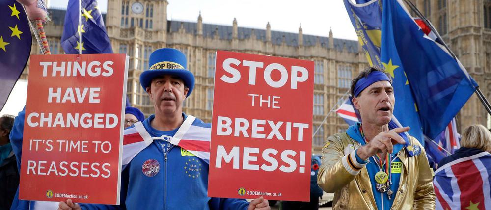 Anti-Brexit-Demonstranten protestieren in London. Am Mittwoch entscheidet die britische Regierung über den Entwurf des Brexit-Abkommens.