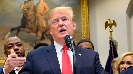 US-Präsident Donald Trump wirft Anhängern der Demokraten Wahlbetrug vor.