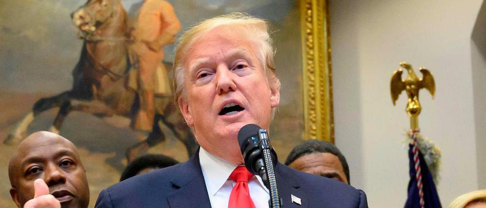 US-Präsident Donald Trump wirft Anhängern der Demokraten Wahlbetrug vor.