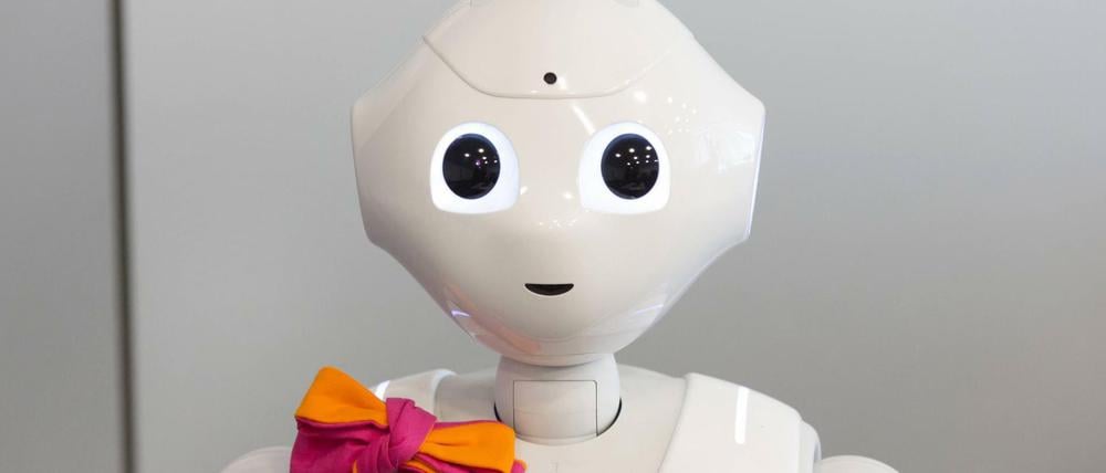 Robbie kann Memory spielen, tanzen und an Termine erinnern. Der humanoide Roboter soll auch in Altersheimen zum Einsatz kommen.