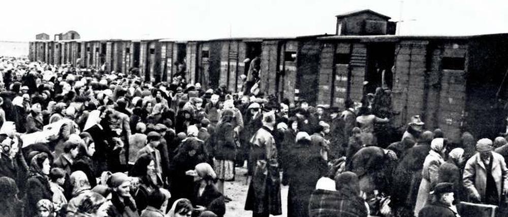 In den Tod. Ankunft ungarischer Juden und Jüdinnen in Auschwitz-Birkenau.