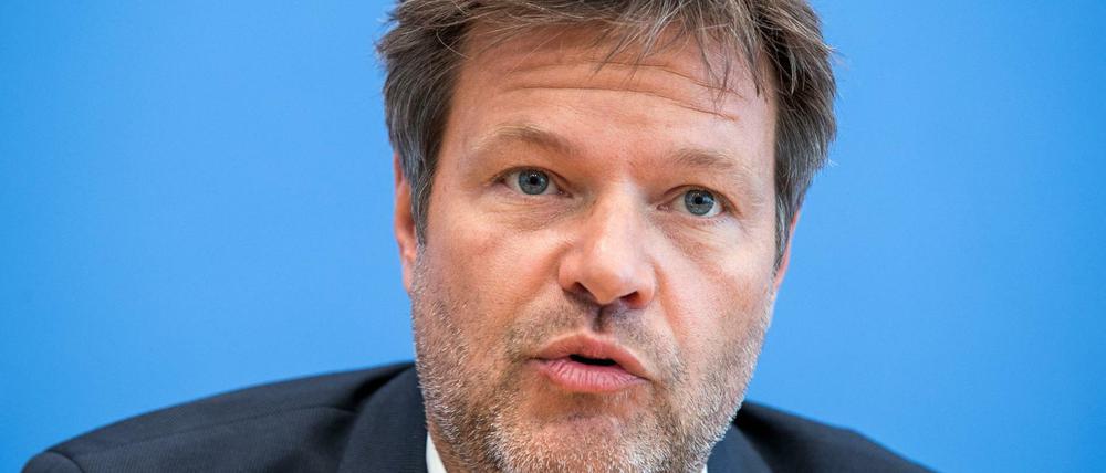 Robert Habeck, Bundesvorsitzender der Grünen, möchte das Arbeitslosengeld II durch eine neue Garantiesicherung ersetzen.