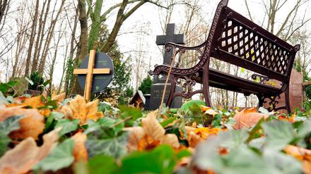 Der Katholische Domfriedhof St. Hedwig.