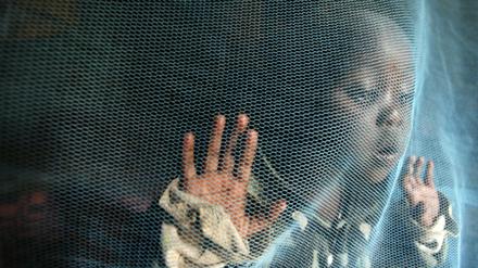Laut WHO stirbt alle zwei Minuten ein Kind an Malaria. Gut 90 Prozent aller Erkrankungen ereignen sich in Afrika.