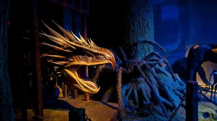 Der verbotene Wald. Eine Szene mit dem ungarischen Hornschwanz, dem Drachen des Potter-Universums.