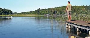 Zurück zur Natur. Im Zuge der Umweltbewegung wurden Heimat und regionale Zugehörigkeit neu definiert.