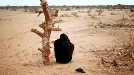 Eine Frau aus Somalia sitzt in der Nähe eines verdorrten Baums.