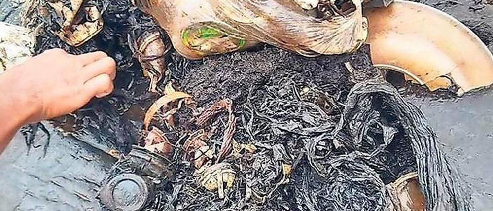 Außen Walbauch, innen Müllhalde. Mit To-go-Bechern, Tüten, Flaschen – nichts als Plastik.