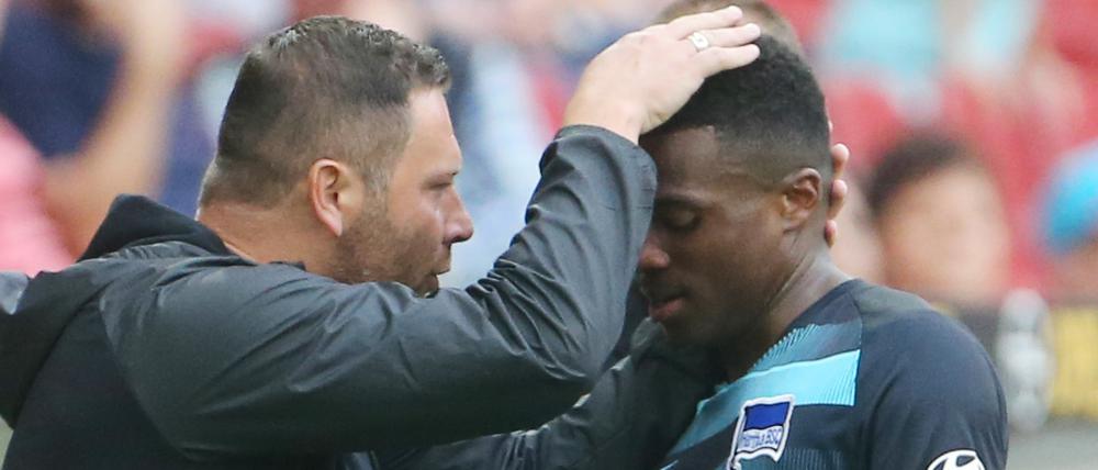 Streicheleinheit. Hertha-Trainer Pal Dardai wird Javairo Dilrosun im nächsten Heimspiel nicht anweisen können.