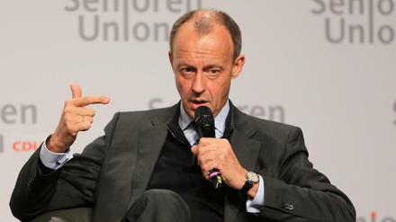 Ex-Unionsfraktionschef Friedrich Merz. 