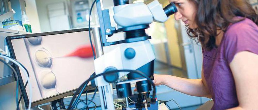 Auch am Max-Delbrück-Centrum in Berlin-Buch wird mit der Gen-Schere CRISPR/Cas9 gearbeitet - allerdings nicht an menschlichen Embryonen.