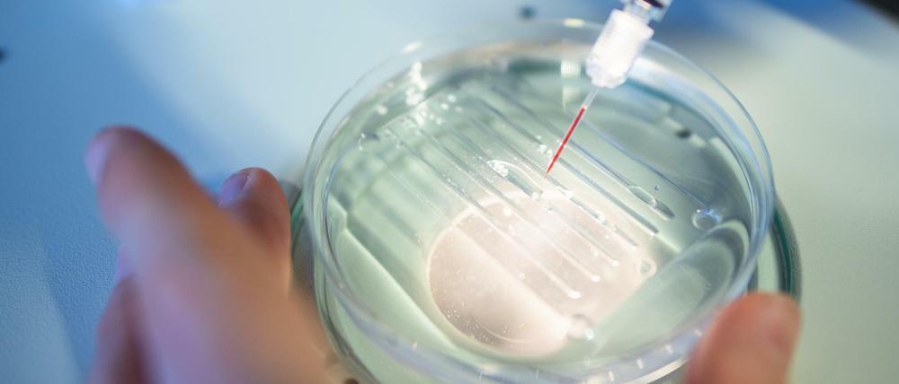 Das CRISPR/Cas9-Verfahren soll die Sensation ermöglicht haben.