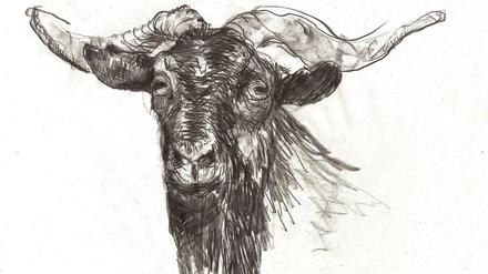 Die G.O.A.T. von Nik Nowak.