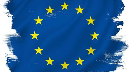 Die EU muss sich dringend reformieren, Veränderung in Trippelschritte reicht nicht mehr.