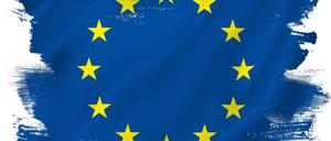 Die EU muss sich dringend reformieren, Veränderung in Trippelschritte reicht nicht mehr.