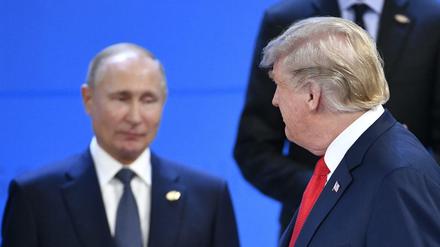 US-Präsident Donald Trump und Wladimir Putin in Buenos Aires. 
