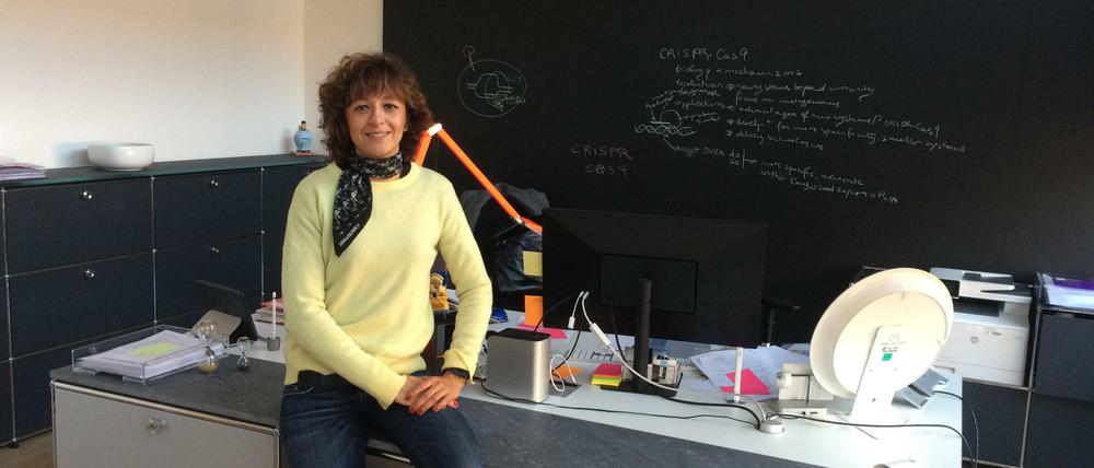 Emmanuelle Charpentier plädiert für "strikte Regulierung" jeglichen Einsatzes ihrer Gen-Schere CRISPR/Cas9 an menschlichen Embryonen. 