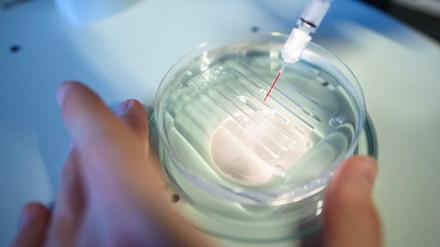 Eine wissenschaftliche Mitarbeiterin wendet das CRISPR/Cas9-Verfahrens in einem Labor an.