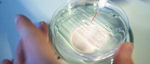 Eine wissenschaftliche Mitarbeiterin wendet das CRISPR/Cas9-Verfahrens in einem Labor an.