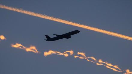Um mit dem Flugzeug nach Deutschland reisen zu können, bezahlten syrische Flüchtlinge für falsche Visa. 