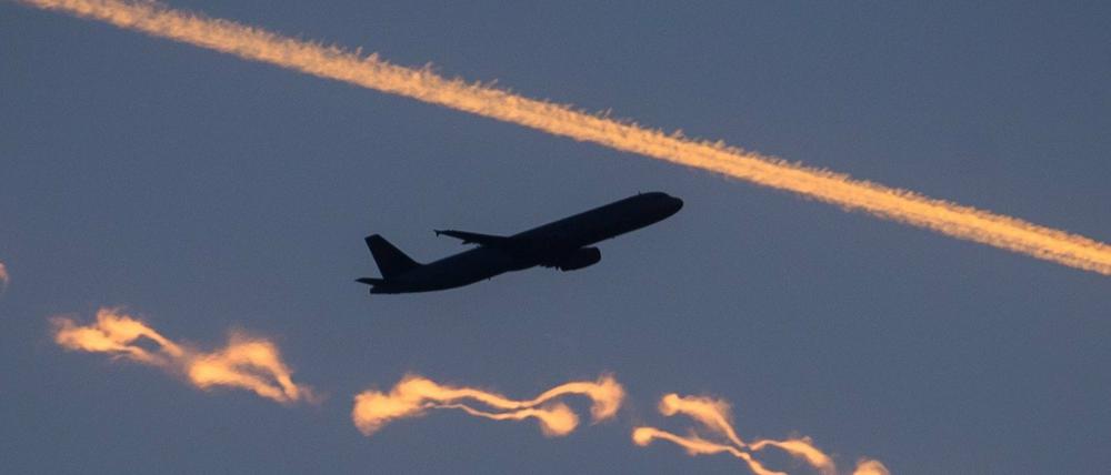 Um mit dem Flugzeug nach Deutschland reisen zu können, bezahlten syrische Flüchtlinge für falsche Visa.