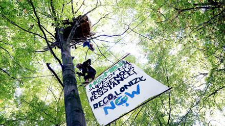 Ein Baumhaus im Hambacher Forst.