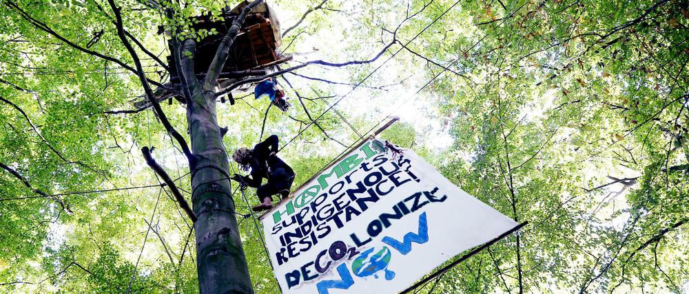 Ein Baumhaus im Hambacher Forst.