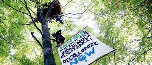 Ein Baumhaus im Hambacher Forst.