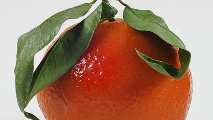 Gesund oder Gift? Unsere Autorin ist sich unsicher. 