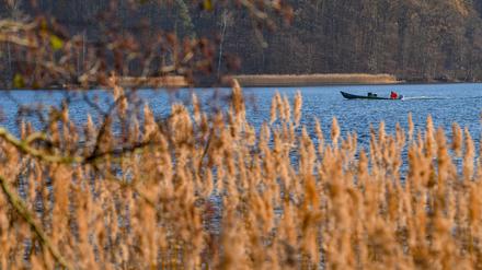 Die meisten verbinden mit Brandenburg Naturnähe und Bodenständigkeit. 