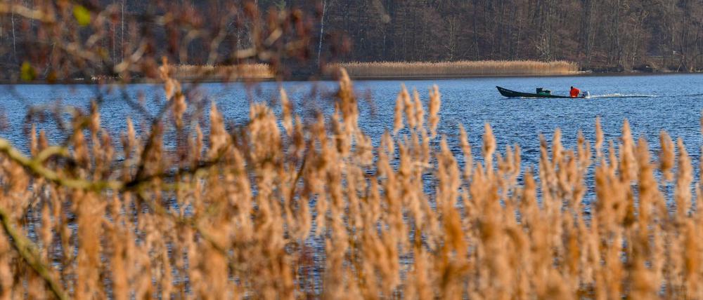 Die meisten verbinden mit Brandenburg Naturnähe und Bodenständigkeit. 