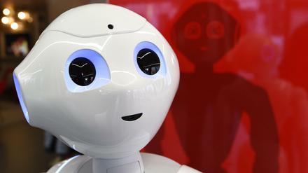 Beim Digitalgipfel in Nürnberg geht es auch um Roboter wie "Pepper". 