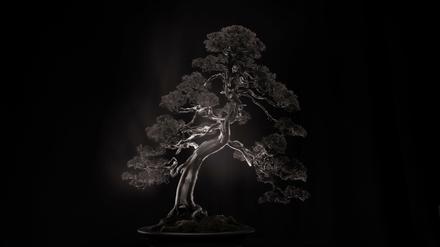 Yamamoto Masaos "Bonsai Microcosm Macrocosm", 2018