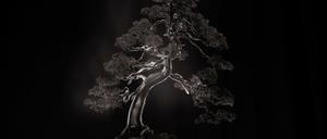 Yamamoto Masaos "Bonsai Microcosm Macrocosm", 2018