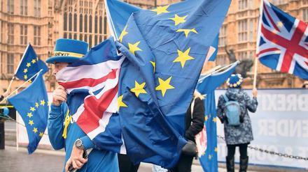 Für Europa: Anti-Brexit-Proteste am Mittwoch vor dem Parlament in London. 